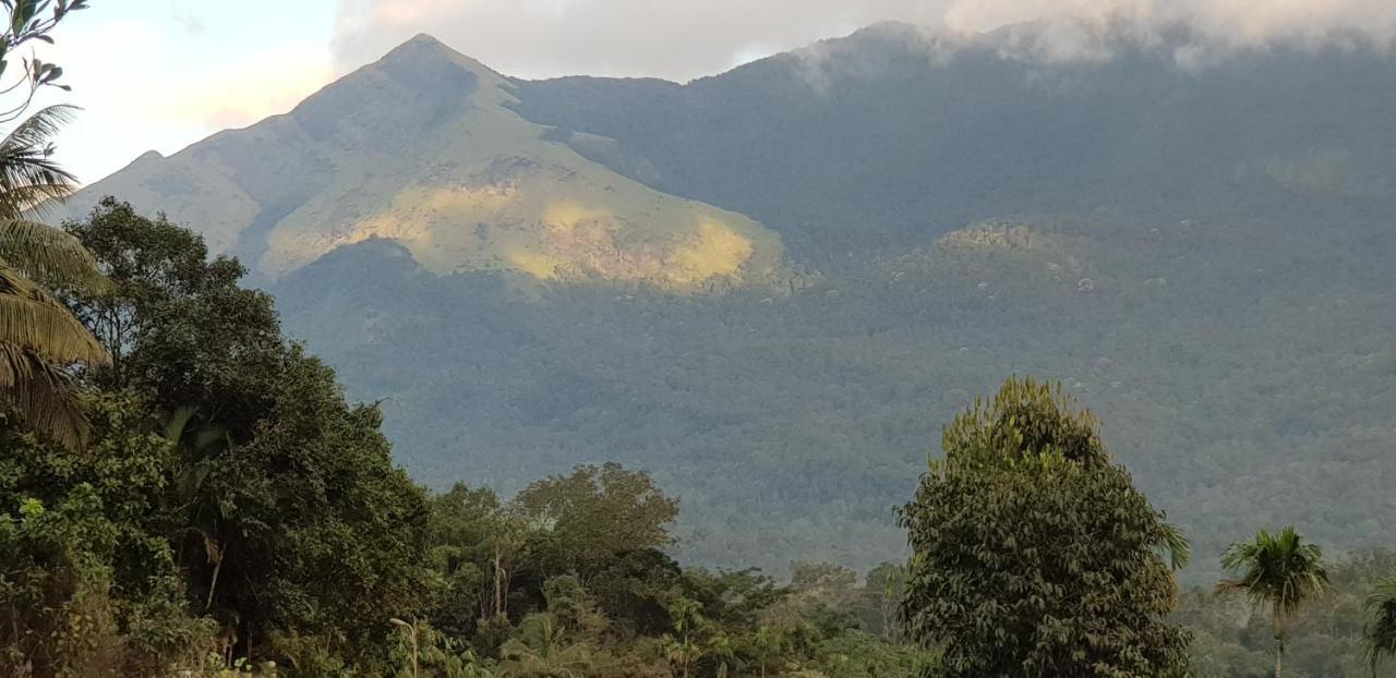 Wayanad Doubletree Villa Vythiri Dış mekan fotoğraf