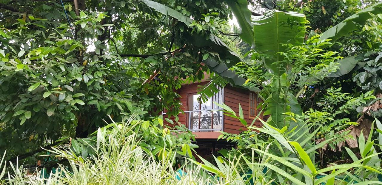 Wayanad Doubletree Villa Vythiri Dış mekan fotoğraf