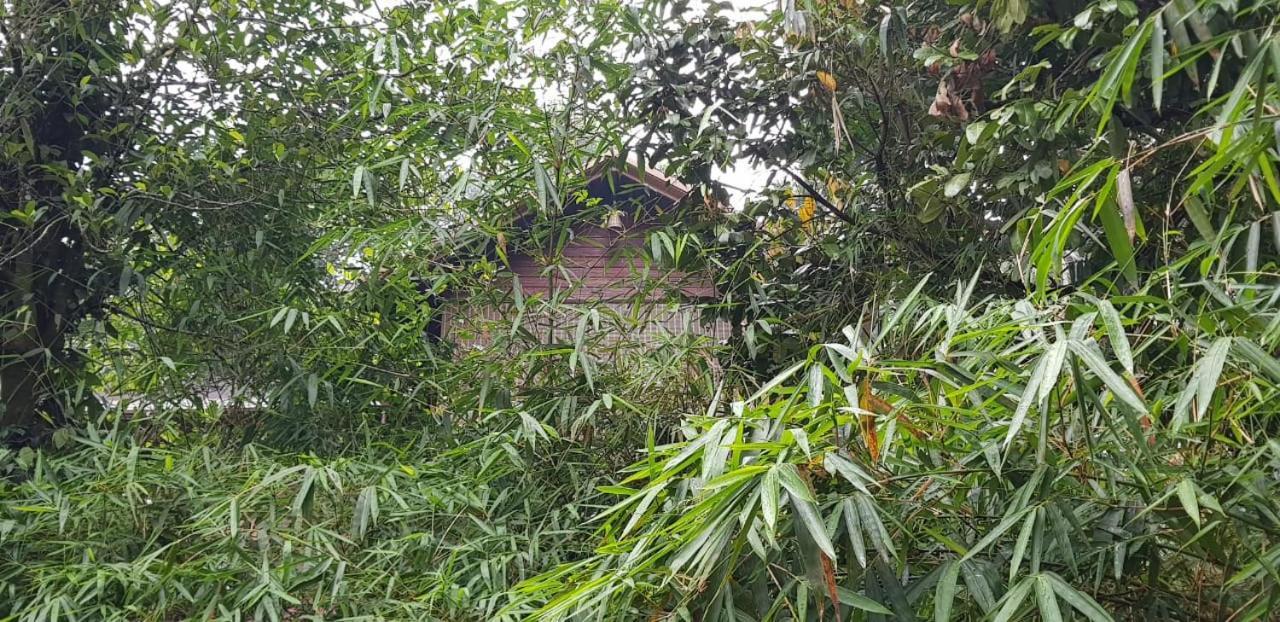 Wayanad Doubletree Villa Vythiri Dış mekan fotoğraf