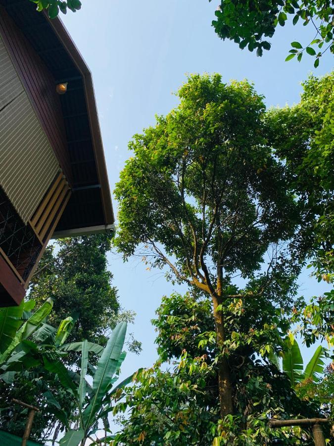 Wayanad Doubletree Villa Vythiri Dış mekan fotoğraf